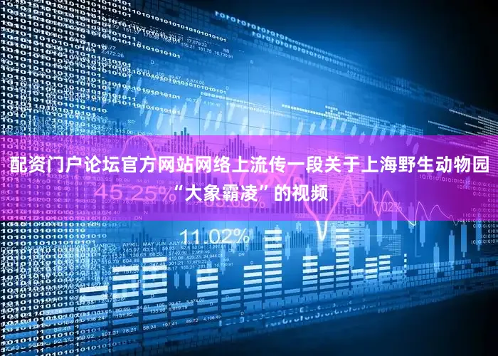 配资门户论坛官方网站网络上流传一段关于上海野生动物园“大象霸凌”的视频