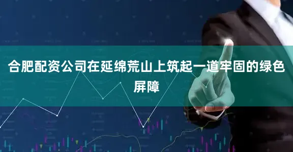 合肥配资公司在延绵荒山上筑起一道牢固的绿色屏障