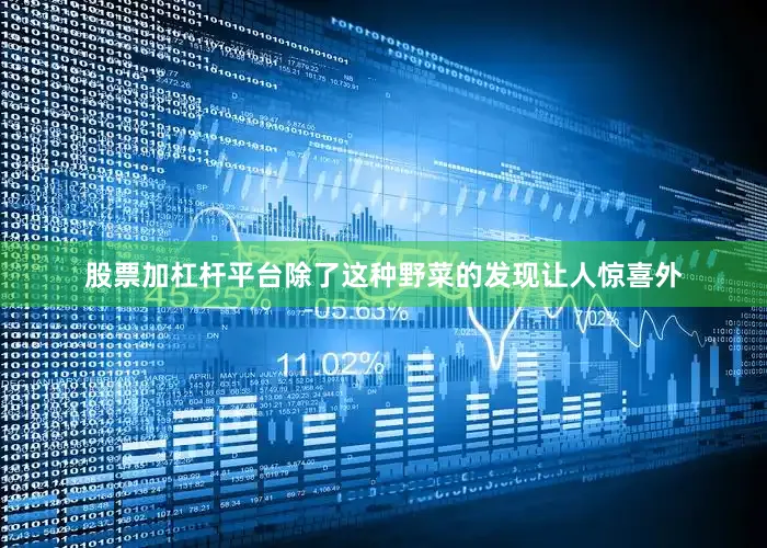 股票加杠杆平台除了这种野菜的发现让人惊喜外