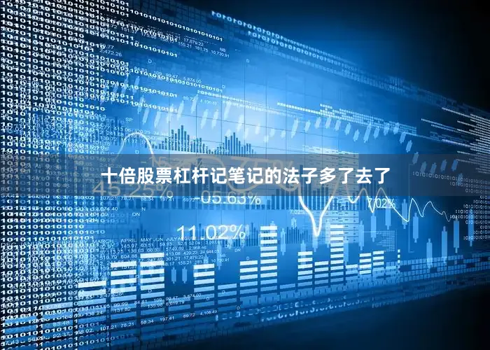 十倍股票杠杆记笔记的法子多了去了