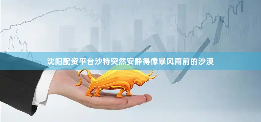 沈阳配资平台沙特突然安静得像暴风雨前的沙漠