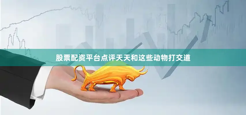股票配资平台点评天天和这些动物打交道