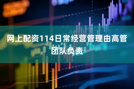 网上配资114日常经营管理由高管团队负责