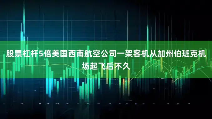股票杠杆5倍美国西南航空公司一架客机从加州伯班克机场起飞后不久